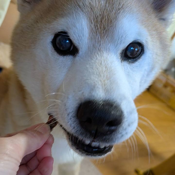 93a72d08 1c25 4bb8 b194 638ee3ff93f8 1765800065412