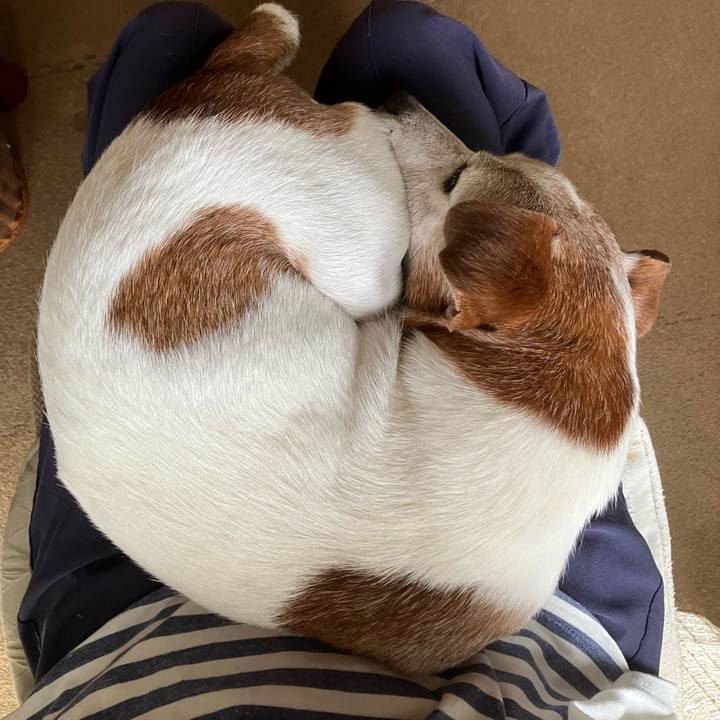 93a7407d 3111 4b6e a4fa 8700aab8809f 1759362881373