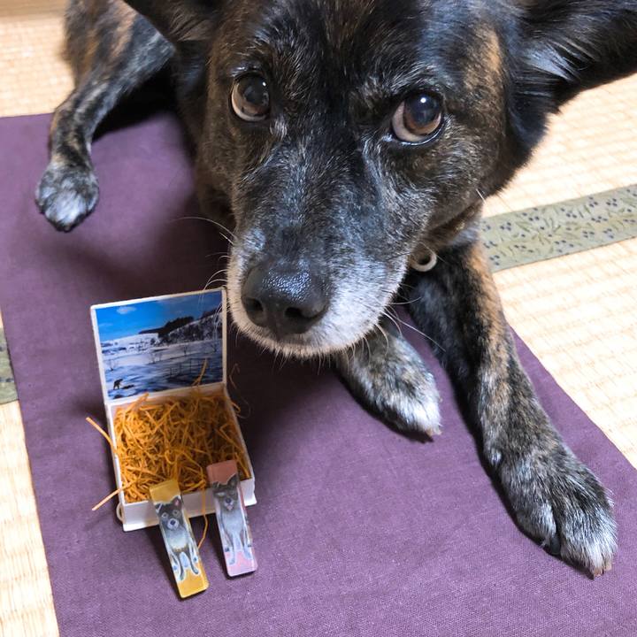 93a7a9ca 3ecc 46fc b7dc fee5cf0a2620 1589810912895