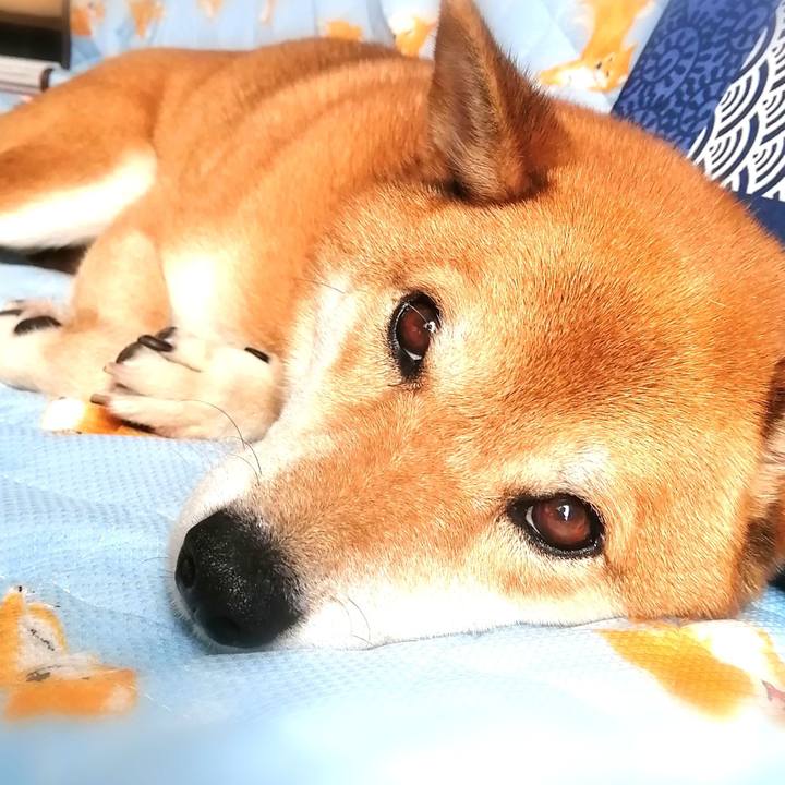 93a7c2fa cd09 457e ad42 94f4cda82003 1599795407876