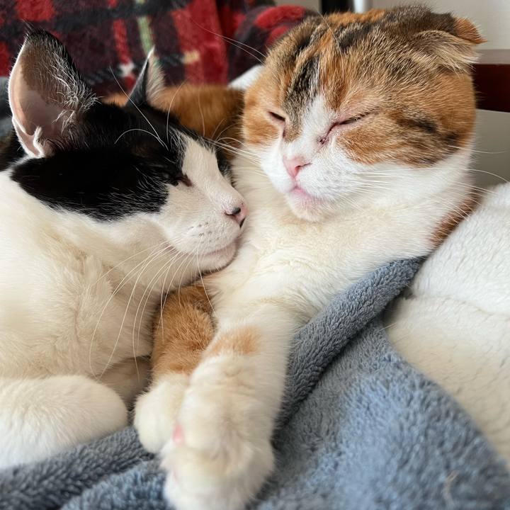 93a7e3ed c443 4bf9 942f ce44094e710e 1672616811206