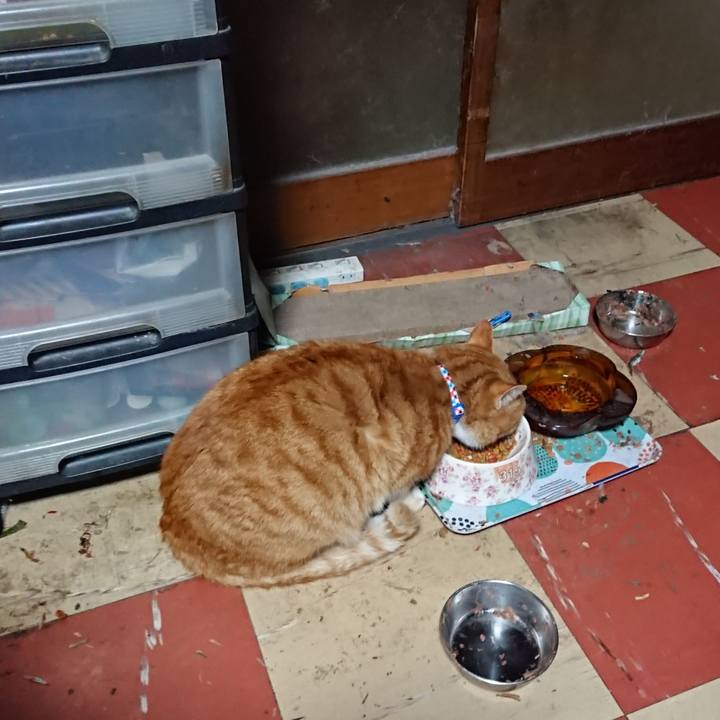 93a8091c f215 441f 83ef 5be4616a3c25 1576698818284