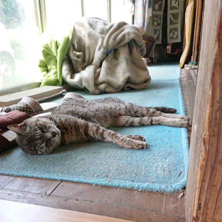 93a80cf2 5173 4bab b40b 42863fb77c3c 1598060743488