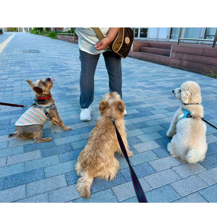 93a80de1 7157 486f be13 c289f8c8579b 1759496935023