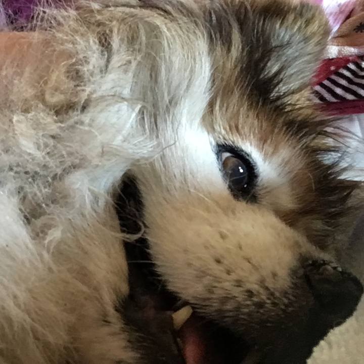 93a8207e 691e 4e0b beb9 49e020a0893e 1575030947720