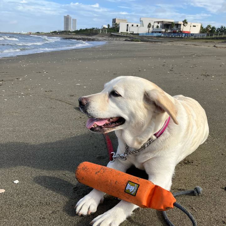 93a85468 38e7 4d1b a82c 59d45cd32c1c 1660309138510