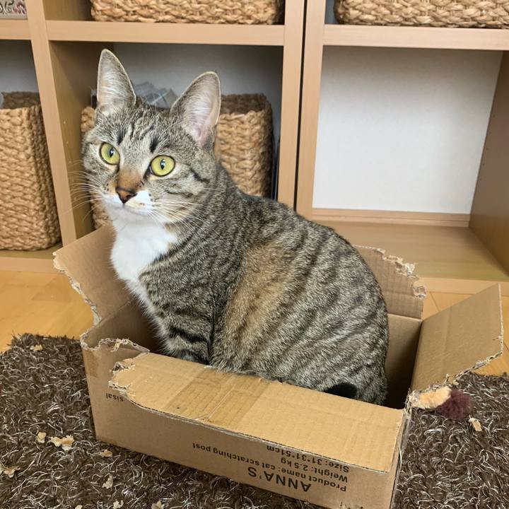 93a85d0e 7908 40a2 b466 757e9a63e82d 1545459368568