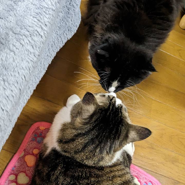 93a86350 aff0 48f3 b244 ea7d44e5d950 1673082151056