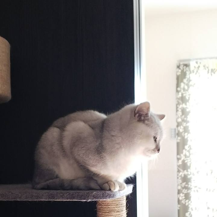 93a8855a 2755 413a b17e de60cabcd13b 1513988945380