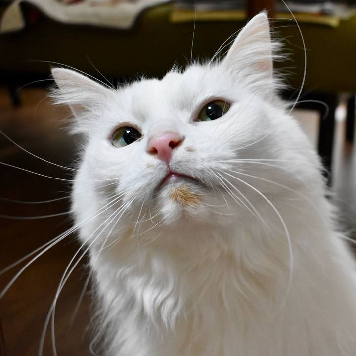 93a8d654 f700 40c6 b21b dcbfa3f47d48 1769824842770