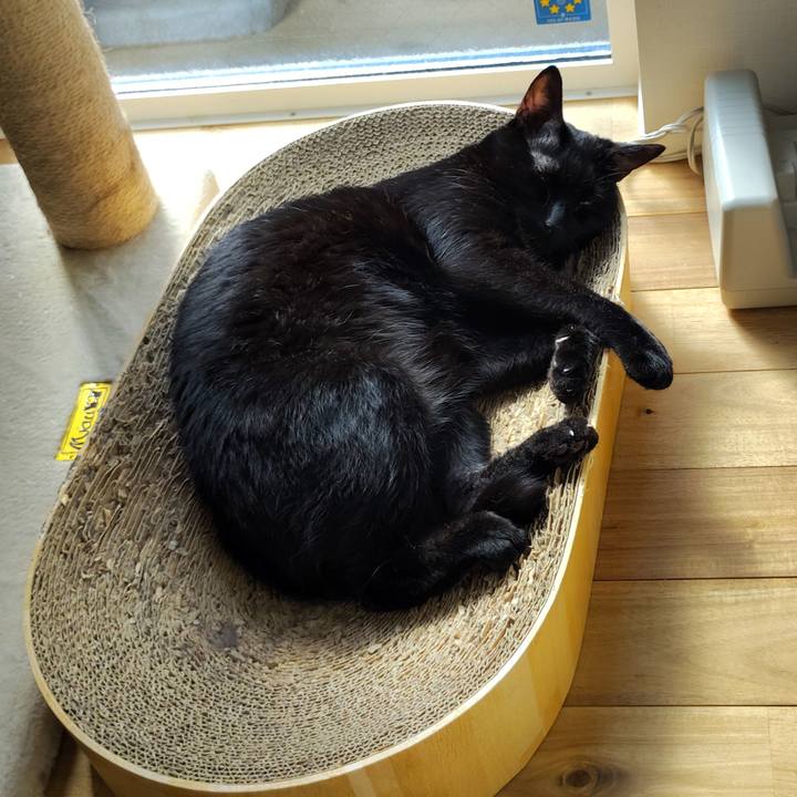 93a913aa 38d2 41eb 9502 b85708086c50 1759803825515