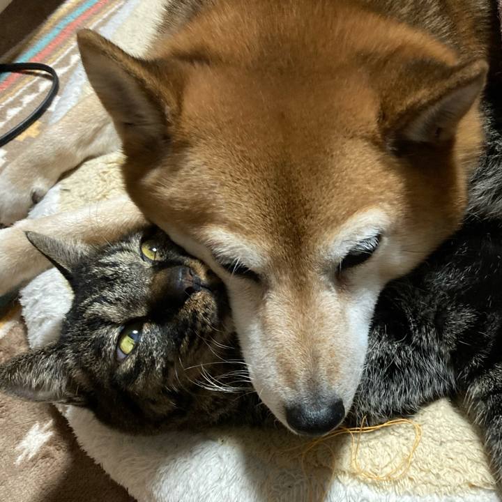 93a91bc5 04bc 45a1 a947 4a507986a150 1638952798962