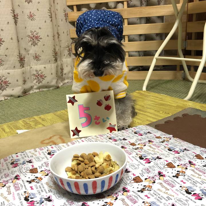 93a96a4a 4adf 4a03 b31e 066547501674 1546744335447