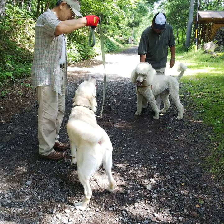 93a978c0 f388 4479 b6ad 385e4fc19ad4 1531701786017