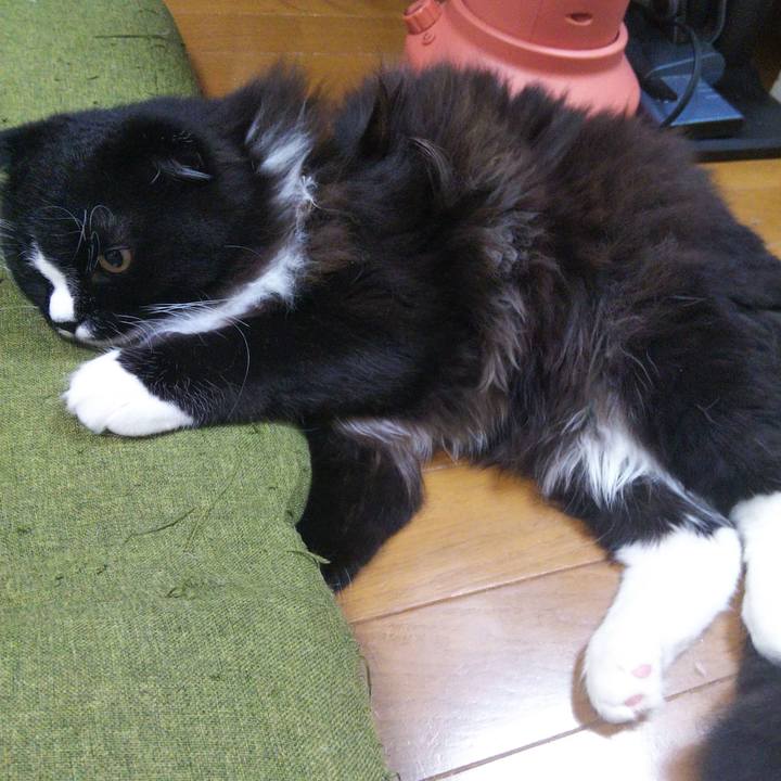 93a9a36a 3878 4cb8 b850 d47dcc3bfa41 1653643049247