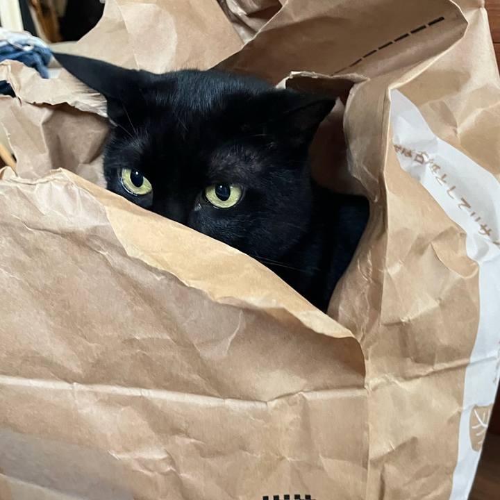 93a9d501 7fe1 47e5 a4f2 7c5568400e9e 1756351545540