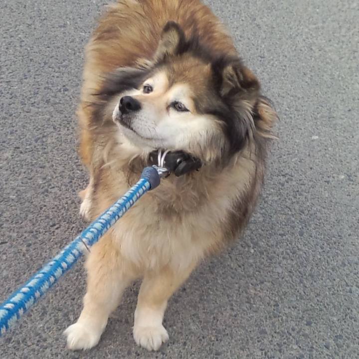 93a9dfaa e1e8 4633 b5f6 253885978399 1623118444211