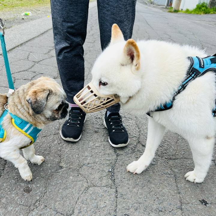 93a9dfc3 fe38 42dc b8c6 933e200f0a7b 1719096247833