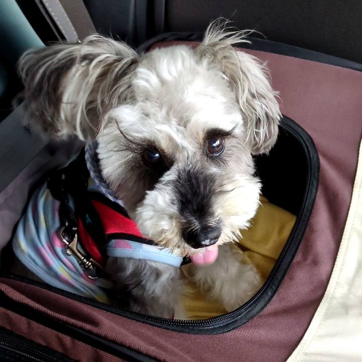 93a9ee99 715c 48dc 8a1b 44f34b08994f 1748871894619