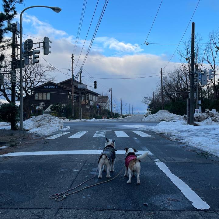 93a9fea1 384d 414e 9b55 6463cf8d5ad0 1671932515955