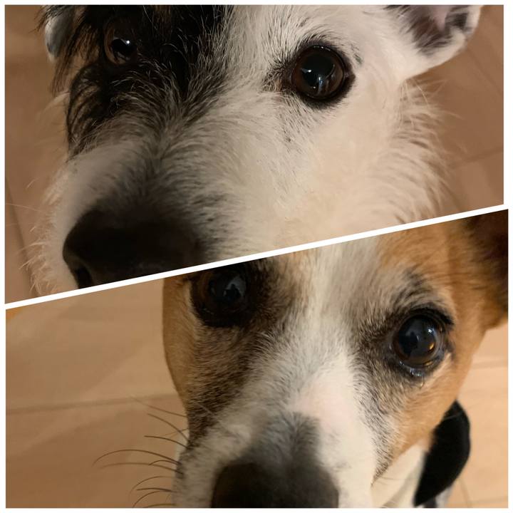 93aa0d9b 0e09 44e4 8bb1 750090c7201c 1583146043596