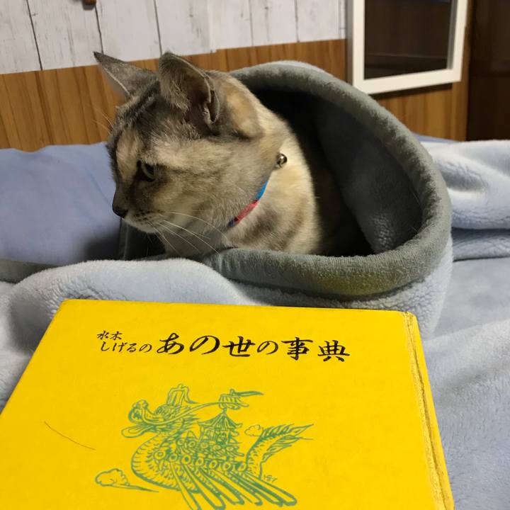 93aa7340 e541 4eff 8385 2fff1a5fdaf3 1578387824046