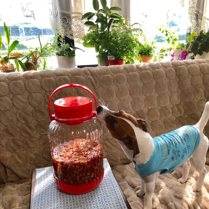 93aa7598 5a6d 407c 9646 a575c916b016 1529966035022