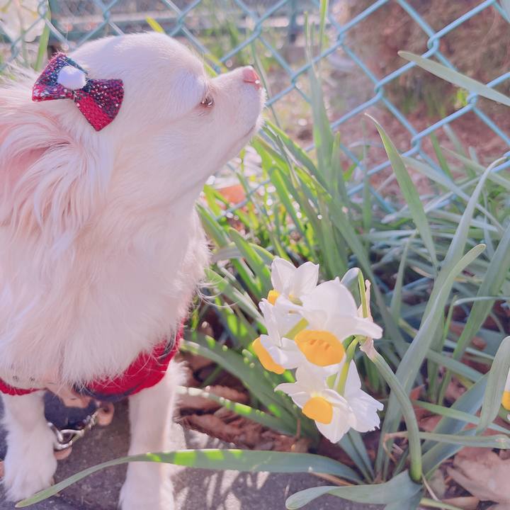 93aa7e13 5ba2 462a b4b7 302dc92bdb32 1676623167950