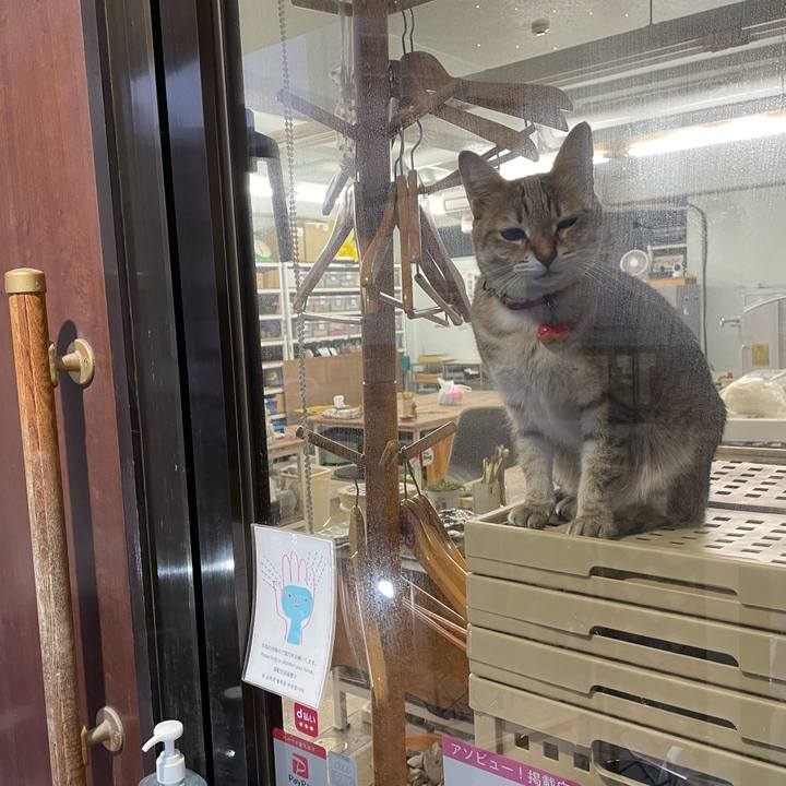 93aa8eea 6c26 4f58 ab8c 8a1cd101d52d 1742040865428