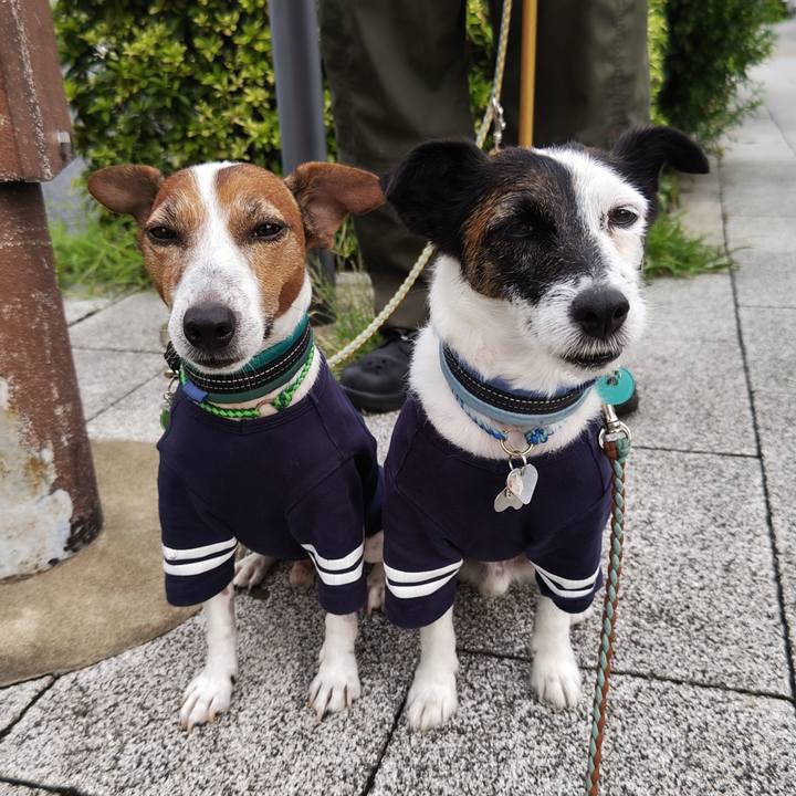 93aa9dd5 60ca 4b71 9d47 a32a2c30d067 1724885676783