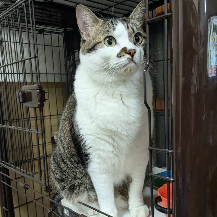 93aabc4e a5f9 4d7c 8bb5 c1231b6574ca 1730540077445