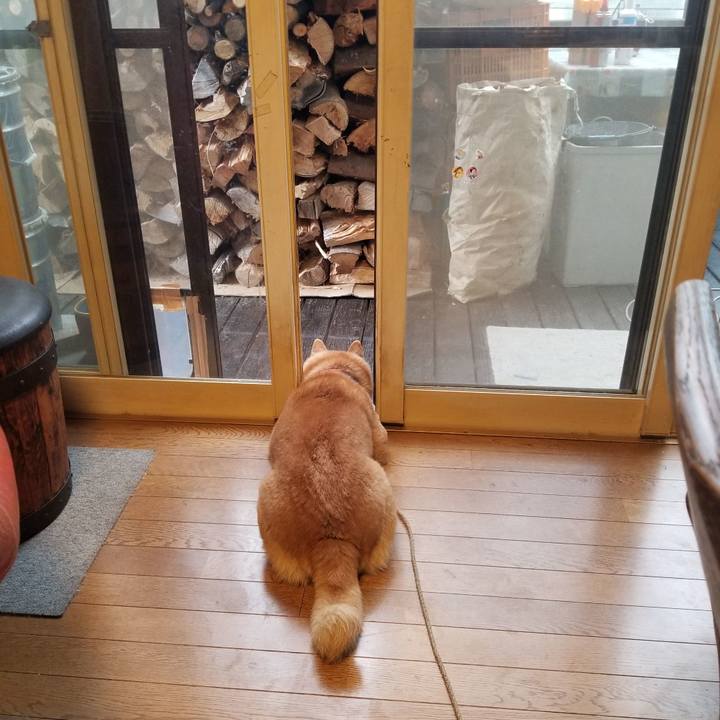 93aac4e0 e161 4db1 b5a4 e0278af5c39d 1730072820400