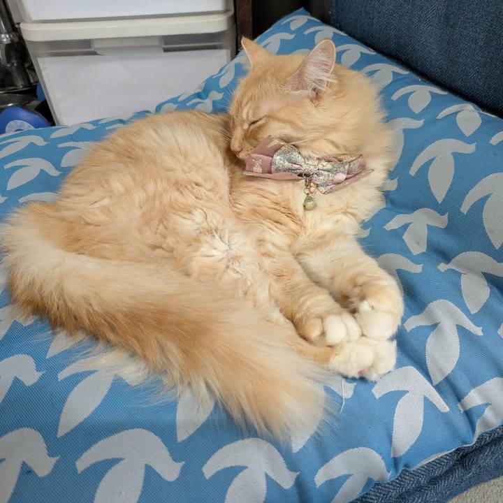 93aae44b 1e80 4918 b6b1 0fc94fe99033 1734067374094