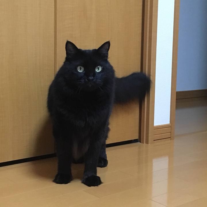 93aaf07f f5db 4bfb 9726 f373bb71a658 1534945245067