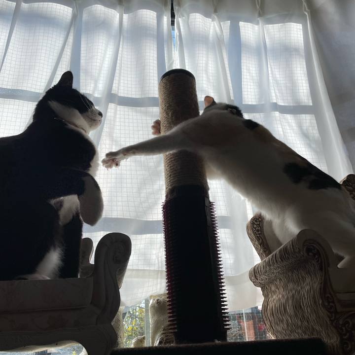 93ab1c39 6253 400f af25 a514afdbf8ad 1679180701788