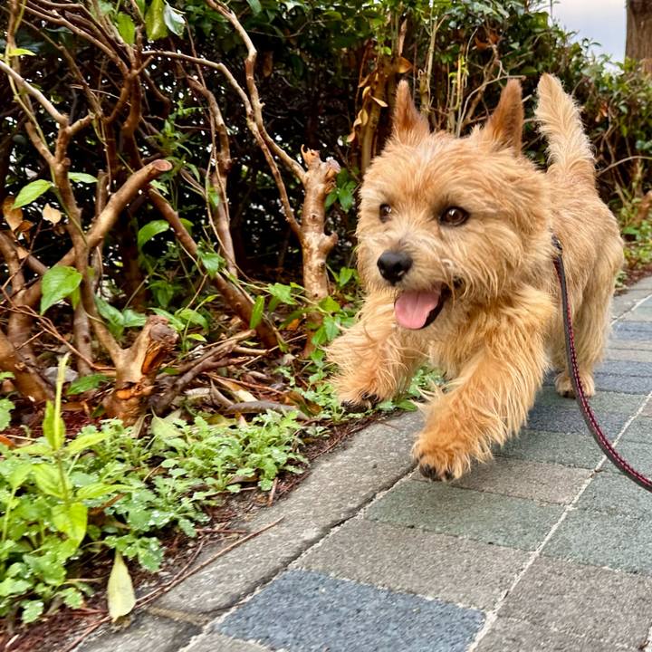 93ab2cbf 68fd 4ef3 99b9 6eadeca4fac5 1745959527817