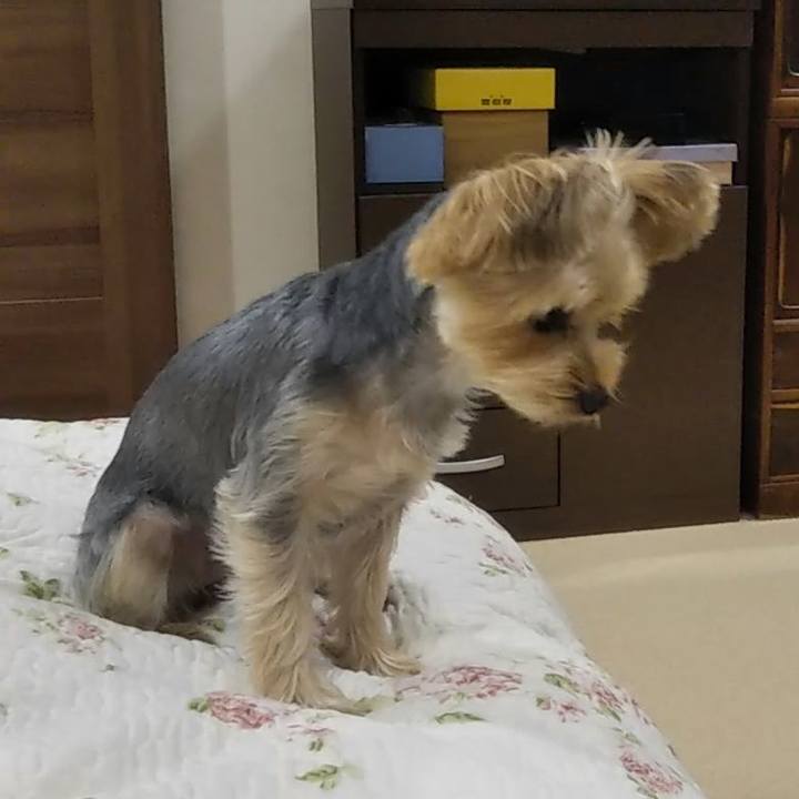 93ab3657 524b 43b8 8240 74a20593f69b 1603705165172