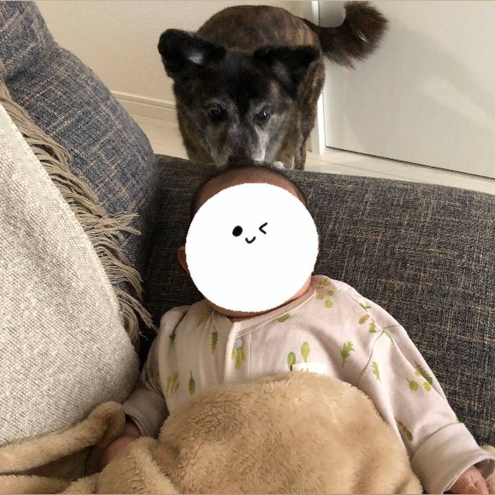 93ab5c08 3292 4603 9409 f426d9cb8aa9 1705030648736