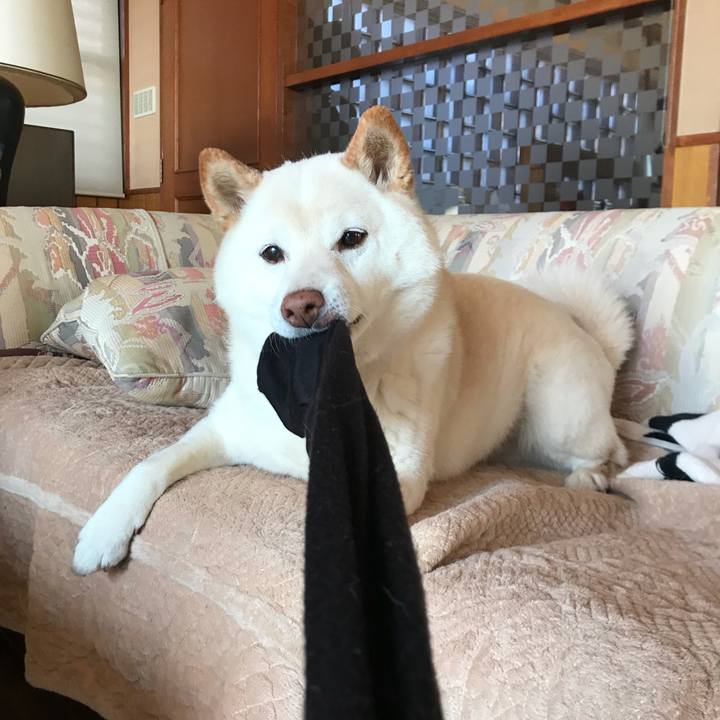 93ab5e25 f8f2 4182 b72d ce4234eb128c 1634202025879