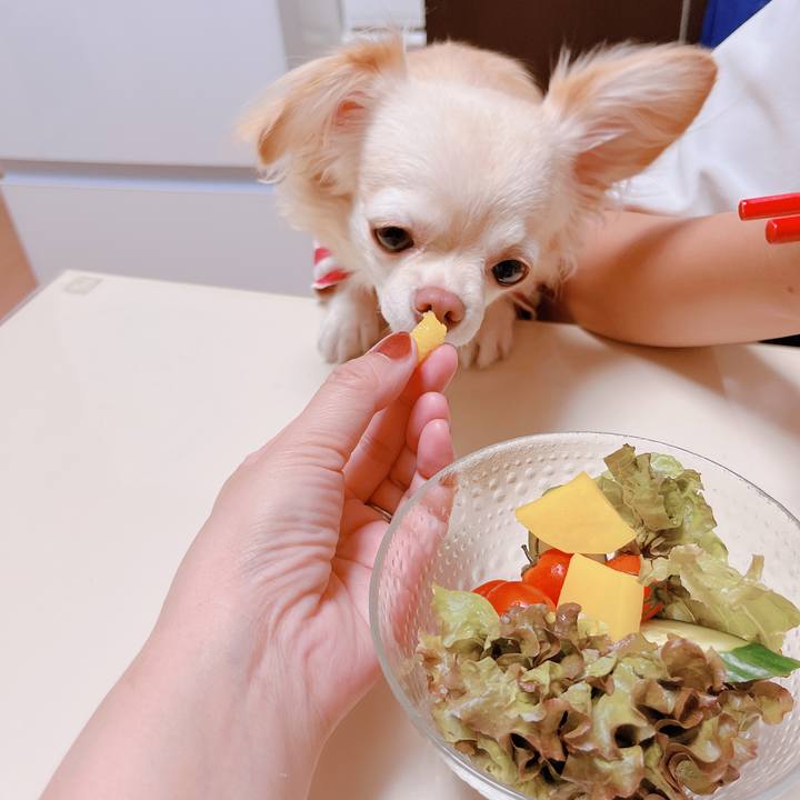 93ab6a56 020f 4793 a432 41f40ff3714a 1664454590847