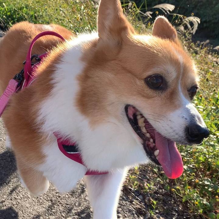 93ab8cba a524 4300 a44a 1f36ab96d3a3 1667715105212