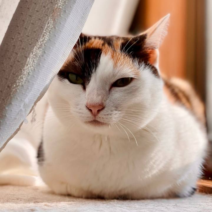 93ac1170 fb07 411c 8297 4ae81f707de9 1643512445548