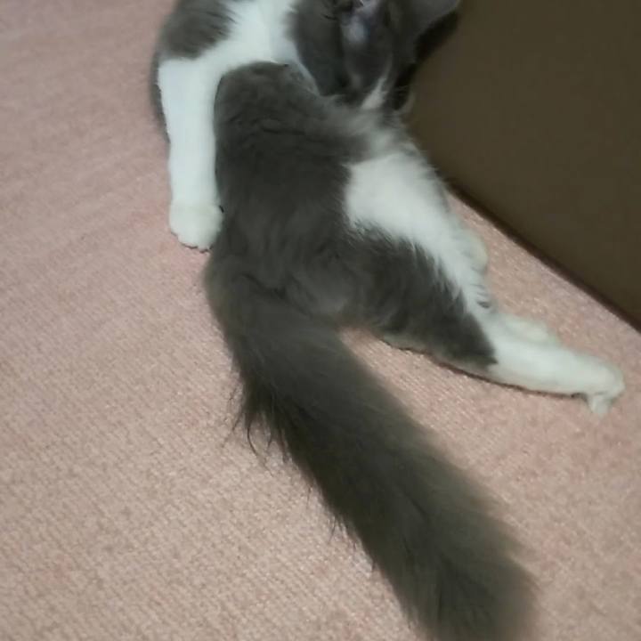 93ac16a6 dd71 45f5 829e 16bab6c629b3 1568760361777