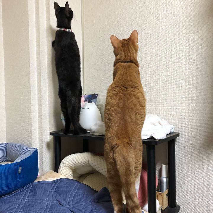 93ac1dbf c09f 4b39 a4a8 f5147ebfa3d0 1627810349561