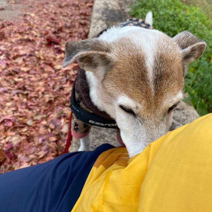 93ac2627 d7f2 4599 b7cb f92305ab8d85 1606099419641