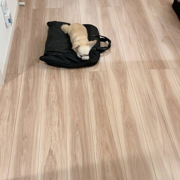 93ac2637 bc44 46da 917a 3c05b572bc73 1724928341019