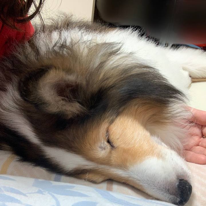 93ac7ce1 c713 42c7 8a28 db167db9b7ef 1571476819927