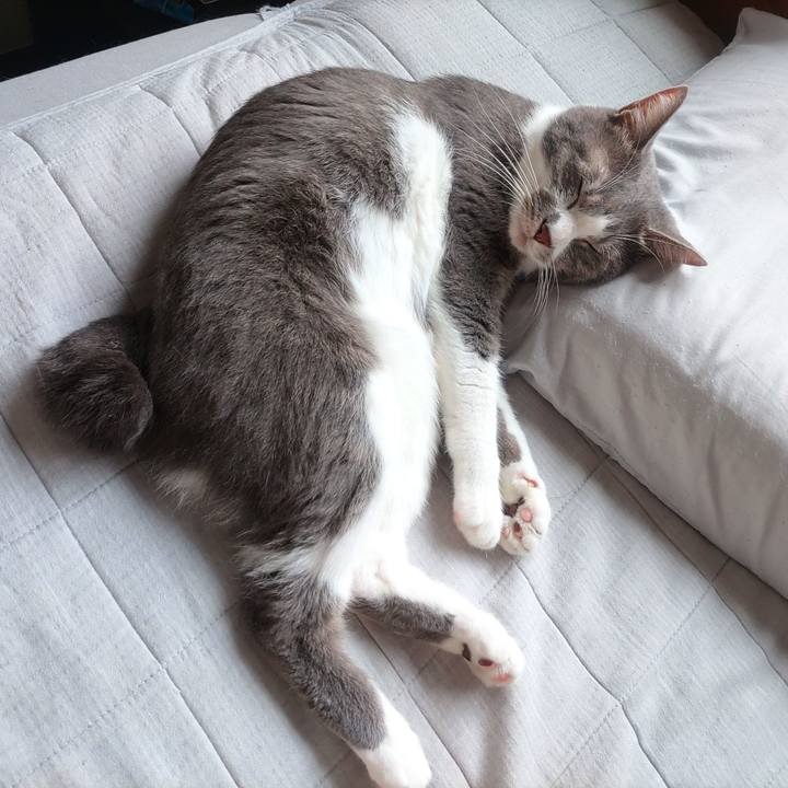 93ac952e e915 4b20 8caf 57ca6f914024 1661043734957