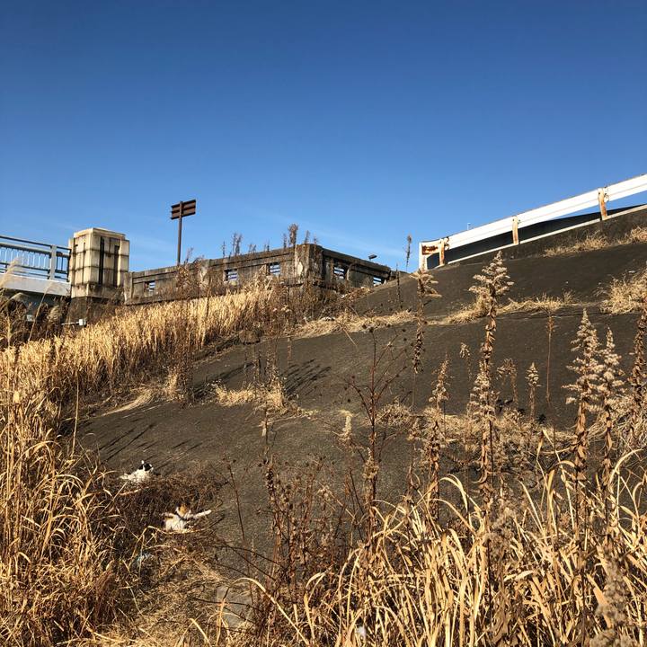 93ac968f dd16 47ab b622 b99e708364c5 1614437571455