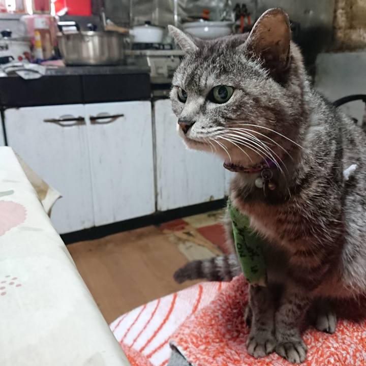 93acd591 f89d 4578 9a2c 098fc8ee4520 1587160040184